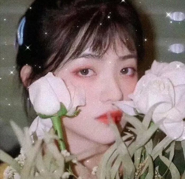 雀斑公主